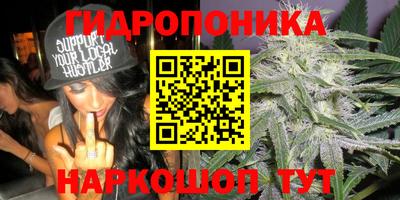 гидра Малоярославец