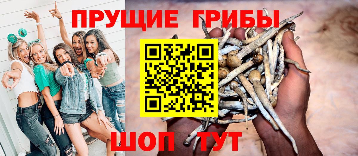 Псилоцибиновые грибы Magic Shrooms Горно-Алтайск